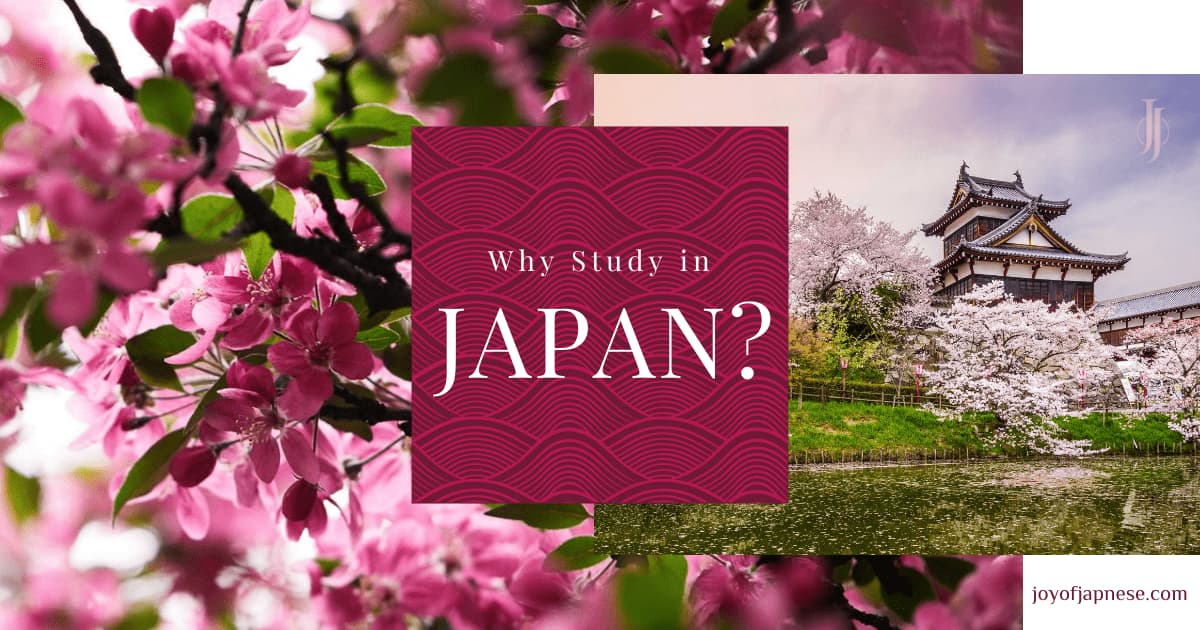 Study in Japan for international students